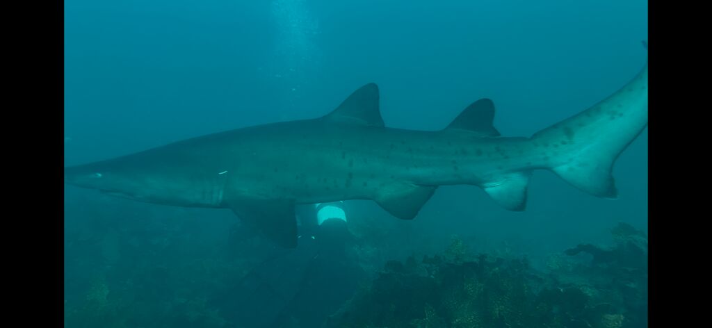 b747b3ea-ee8d-478f-b0d4-effeebab0f85