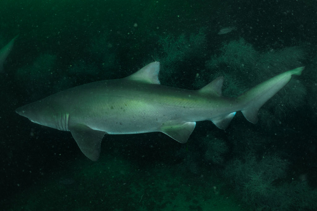 5b6ad743-833a-4557-a794-3ba2d7faf93a