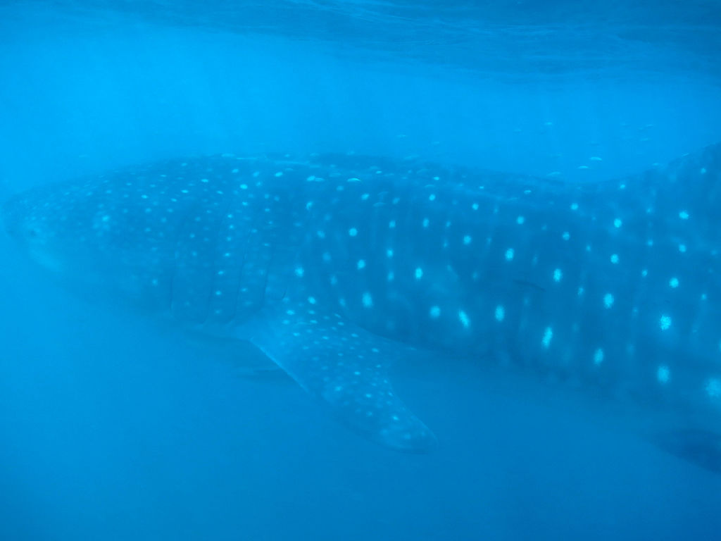 6cd10157-d9fc-41a0-b3df-8de171439b8a