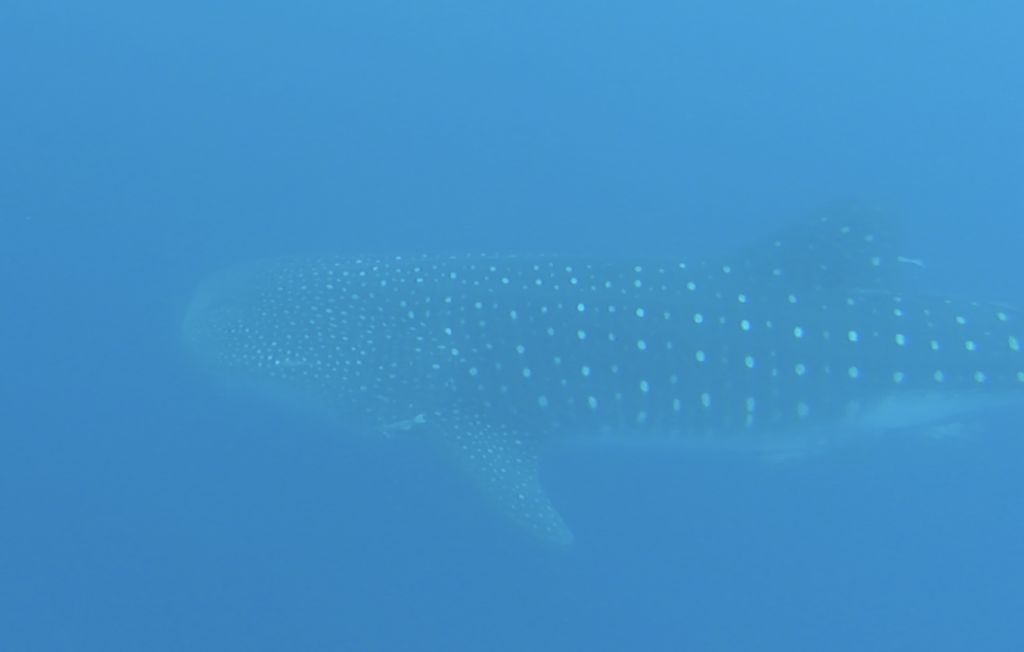 14a2cdfe-b5a9-4220-9180-e70f32eb3fc8