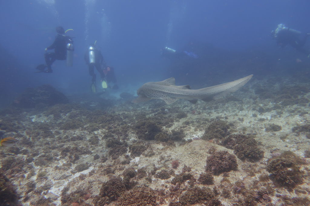 e8361446-5788-4950-a973-5229ddae52de