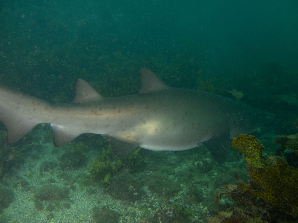 a1a6ae38-9629-4fec-b465-ba4bacb0ffc2