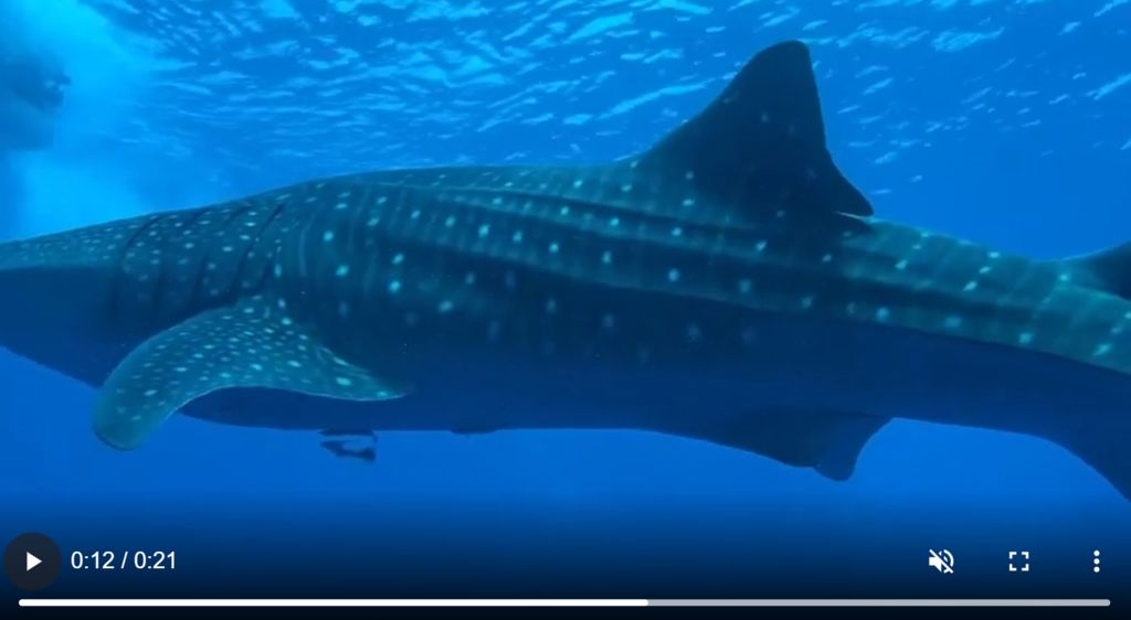 6d86eb2f-841d-472a-a981-6cee3d5b011c