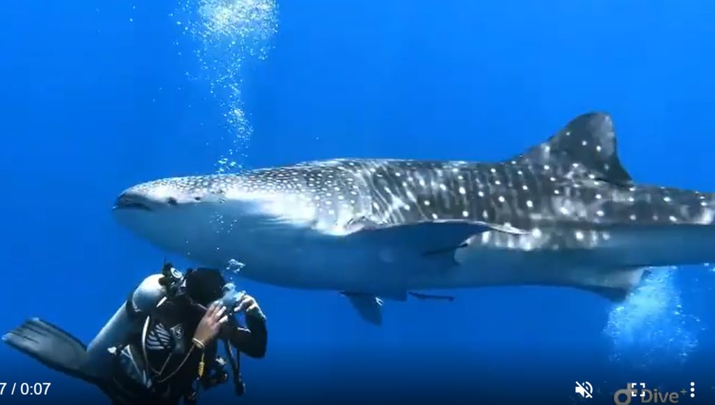 6d86eb2f-841d-472a-a981-6cee3d5b011c