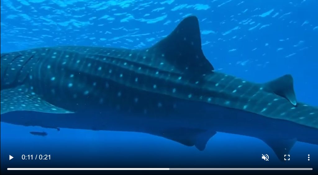 6d86eb2f-841d-472a-a981-6cee3d5b011c