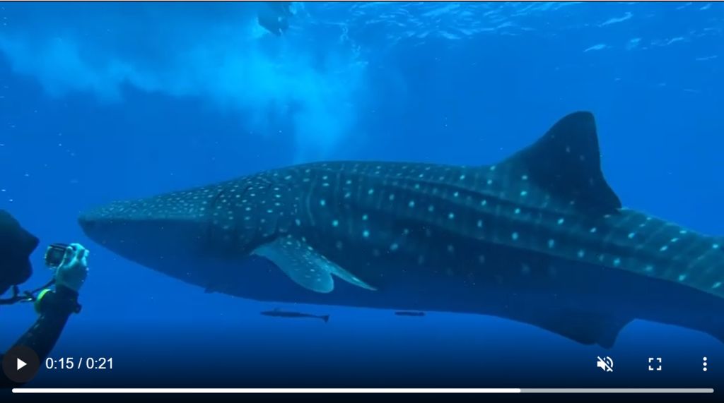 6d86eb2f-841d-472a-a981-6cee3d5b011c