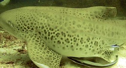 06702818-8562-4a35-9c0d-fbf87afc0539