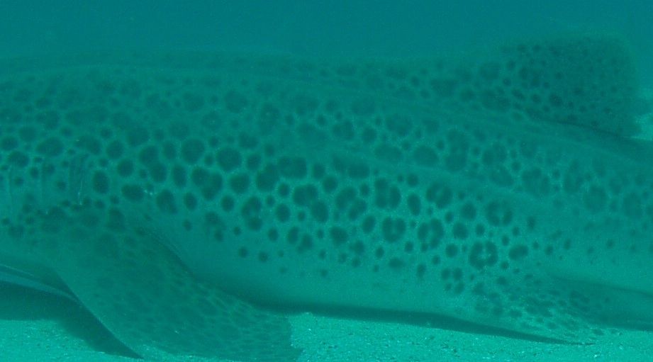 89f2c880-4472-494e-ac8a-04a458141526