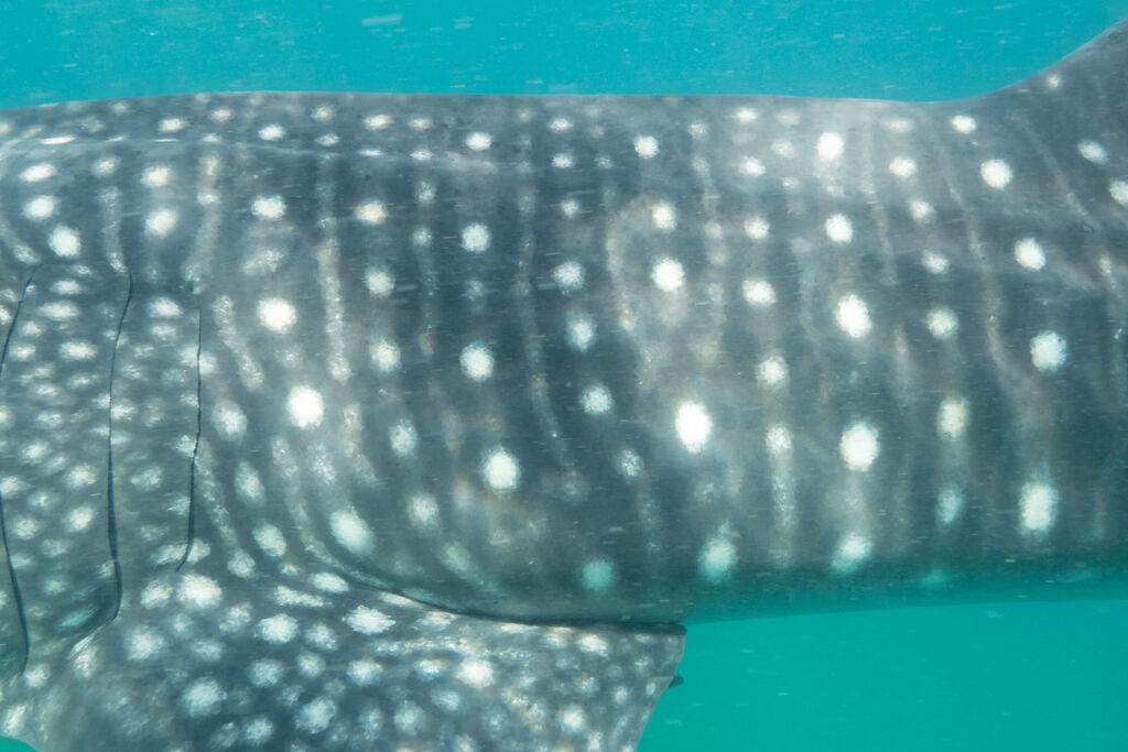 76615c59-3f7e-4f9e-b851-a414ff3e3f74