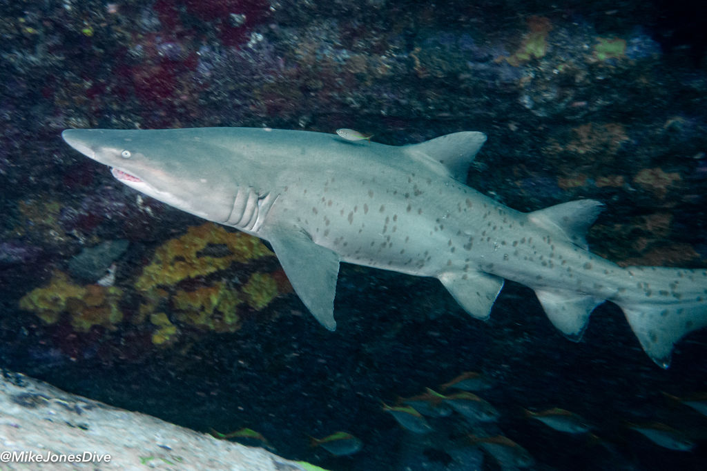 e8be6cb3-db4f-40e9-82c7-67a5f732c18f