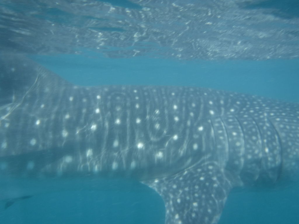 3f3ea59c-3cfb-4475-9ec3-e60173db2cdf