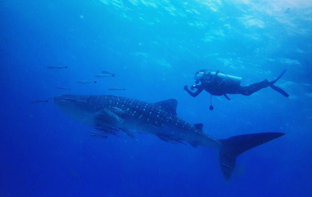 b23c68b7-ef9f-4460-83bd-6ee550032557