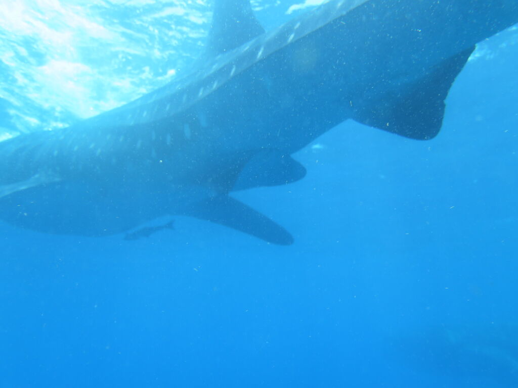 39e6527d-5644-4930-b9cd-fc970572ed94