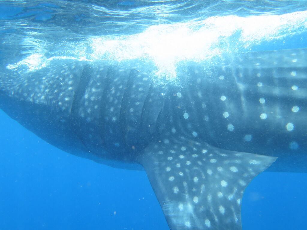 39e6527d-5644-4930-b9cd-fc970572ed94