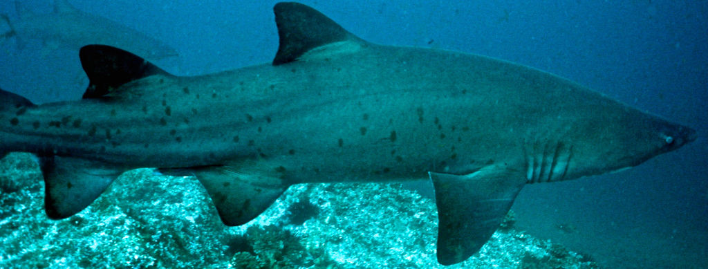 54e540fa-8869-4b5e-9efd-a18ce5c26202