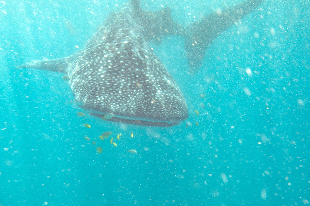 9de165ad-0924-4eb3-b24f-0c58a36f99fe