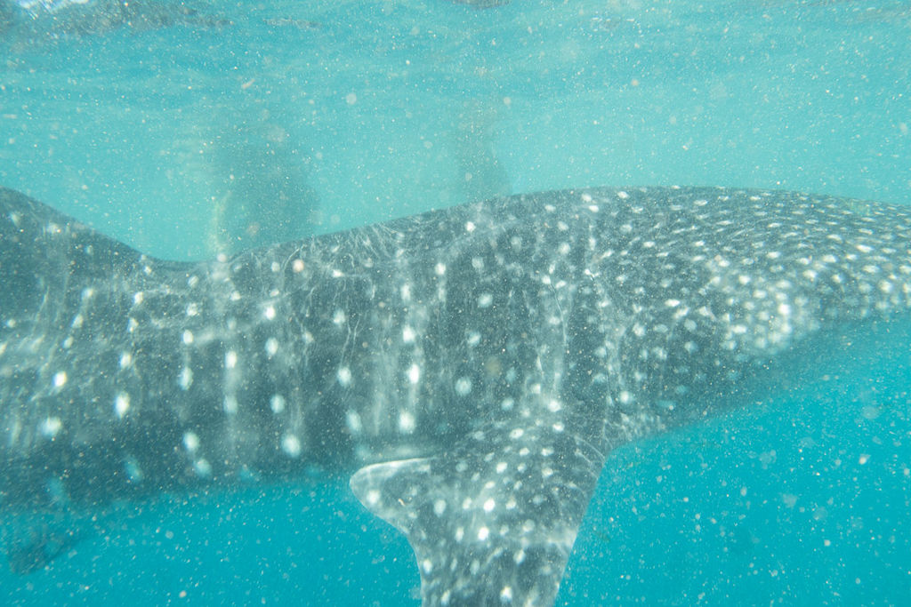 9de165ad-0924-4eb3-b24f-0c58a36f99fe