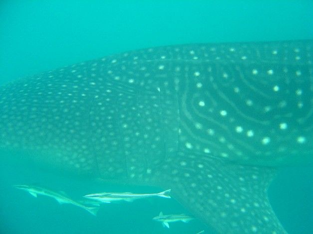 7de4c4d9-90cb-4844-933c-e06c999a5e95