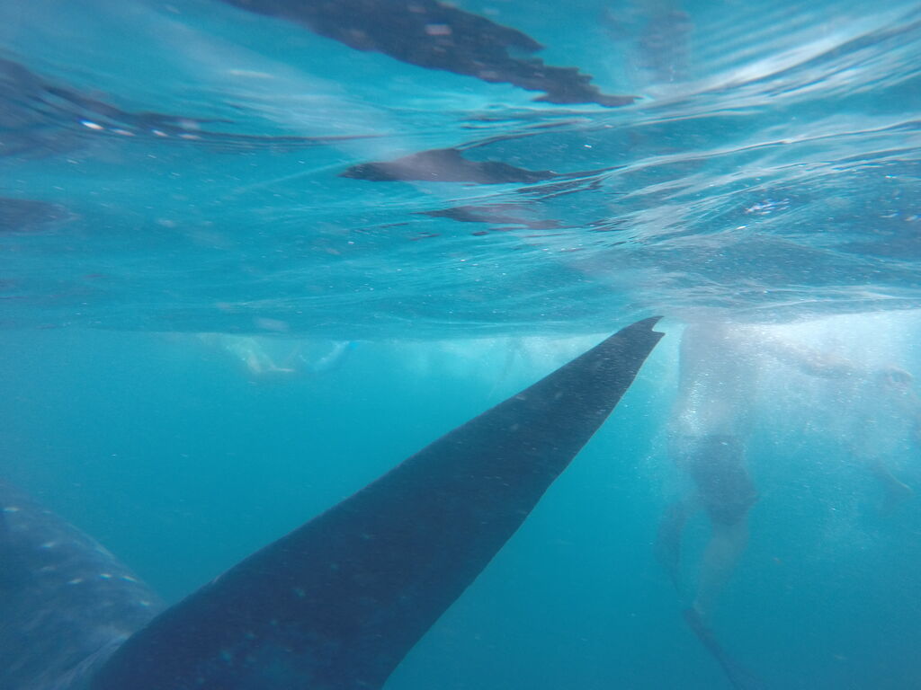 3db786ce-c652-47ee-b96c-b3dcbfb7d8aa