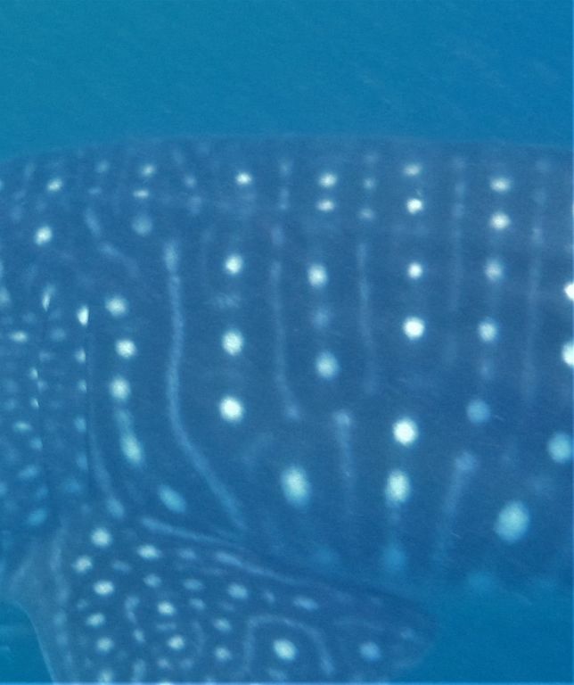 d9849fca-e5fd-4d84-8ce4-48a1616dfcd9