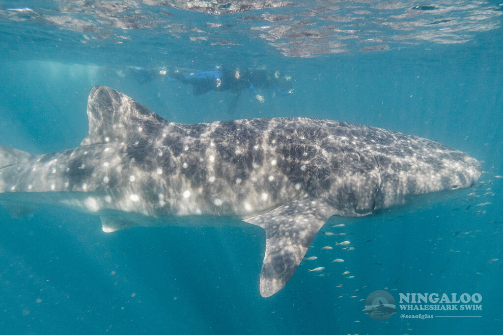 a819634c-f1bf-4229-9371-c4086d1f8c72