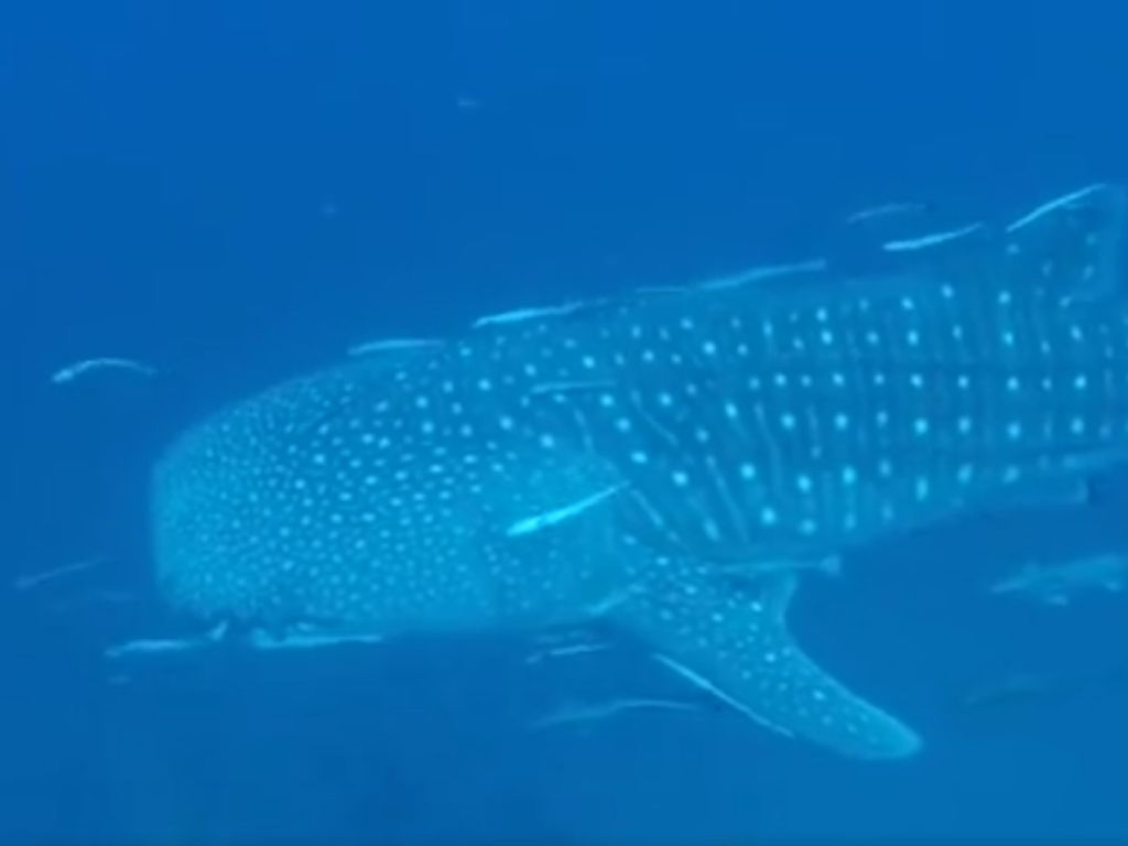 5ca85910-094c-41a7-81ef-03643ebe4ac3