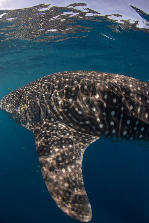 0da840d4-d772-48d2-b5fb-5746b4e85015