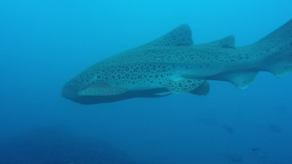 1a638bb8-9d84-4b23-aa00-cfd43d412e3b