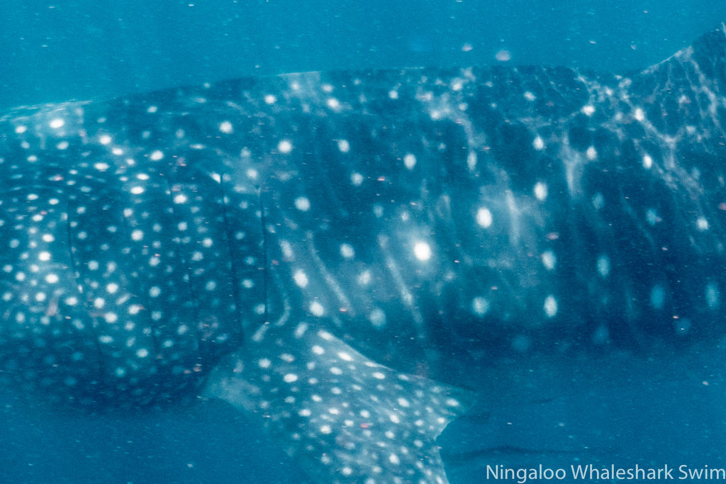 6d1c2189-3621-4150-8750-c6480b8d4917