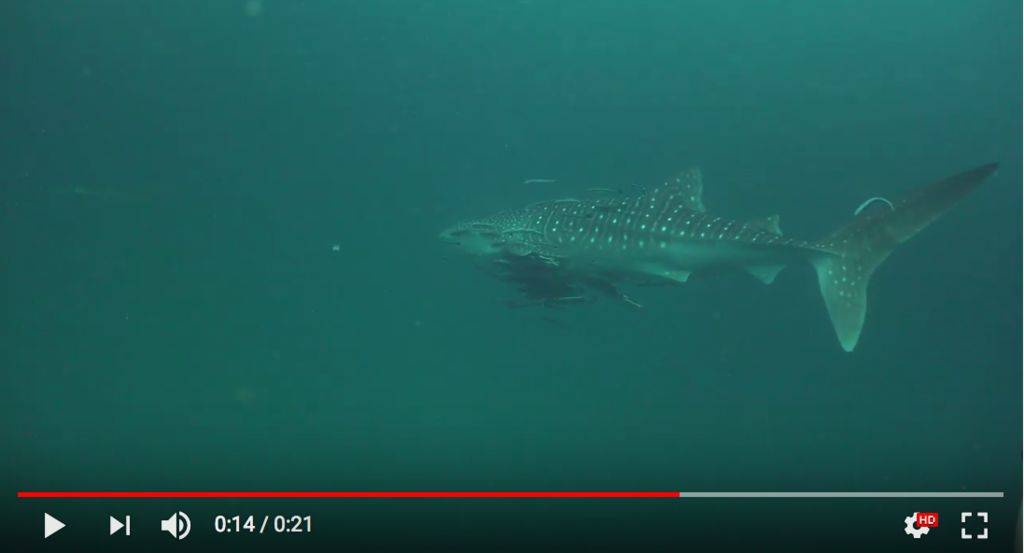 389f57a7-a1c5-4abd-9794-e518d0767ad1