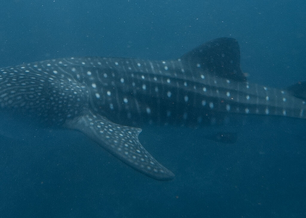 8c6f3755-d157-4352-abbf-76500e13ae7d