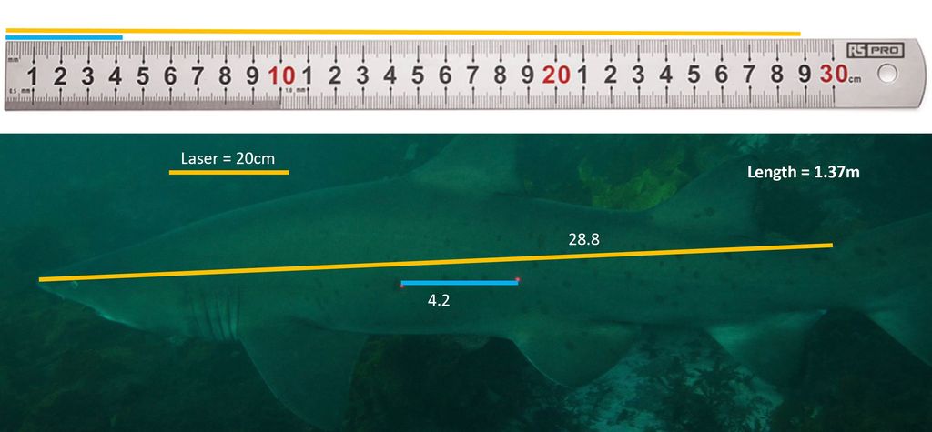 413eb5e5-0cef-4abd-93c8-40e4ae08c6ae
