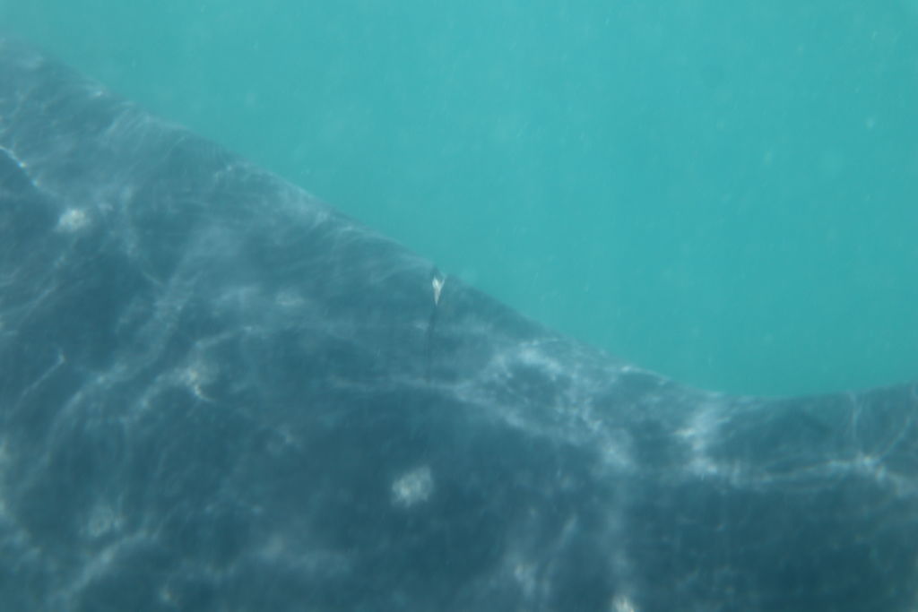 5242b041-eb84-4489-860a-a167d4930561