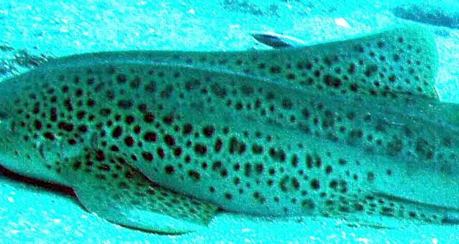 7b978c2d-f445-4e2b-a967-b63c96fe2d7a