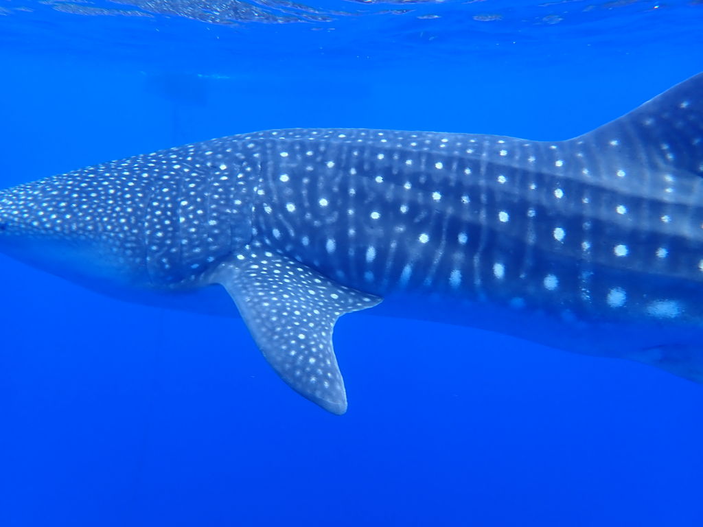 9f06e5d4-69b1-4c6c-b971-166fc0519a52