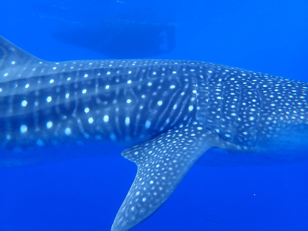 9f06e5d4-69b1-4c6c-b971-166fc0519a52