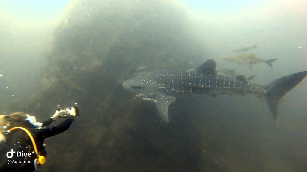 5471e6a9-b7f7-4f53-963d-a130754349bc