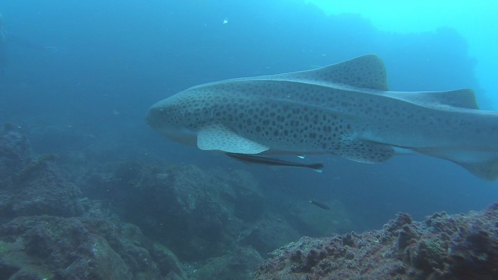 c4f39b7f-b056-431c-8f8e-b49d3ee7fb9a