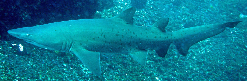 180d7300-b543-4eac-b3e2-a999c7f85026