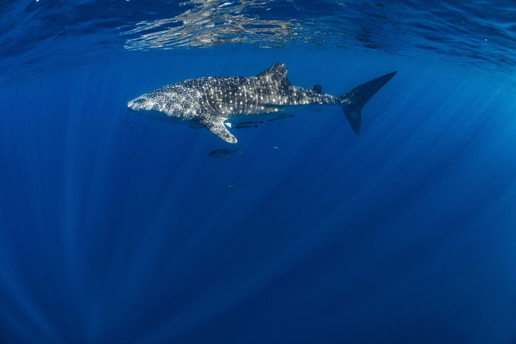 b1d4fb30-dc64-4936-93e1-c48f6ff20f86