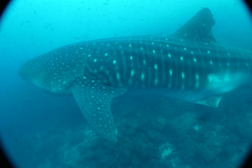 b5e23191-27dc-4b69-b95f-2c46f231d44b