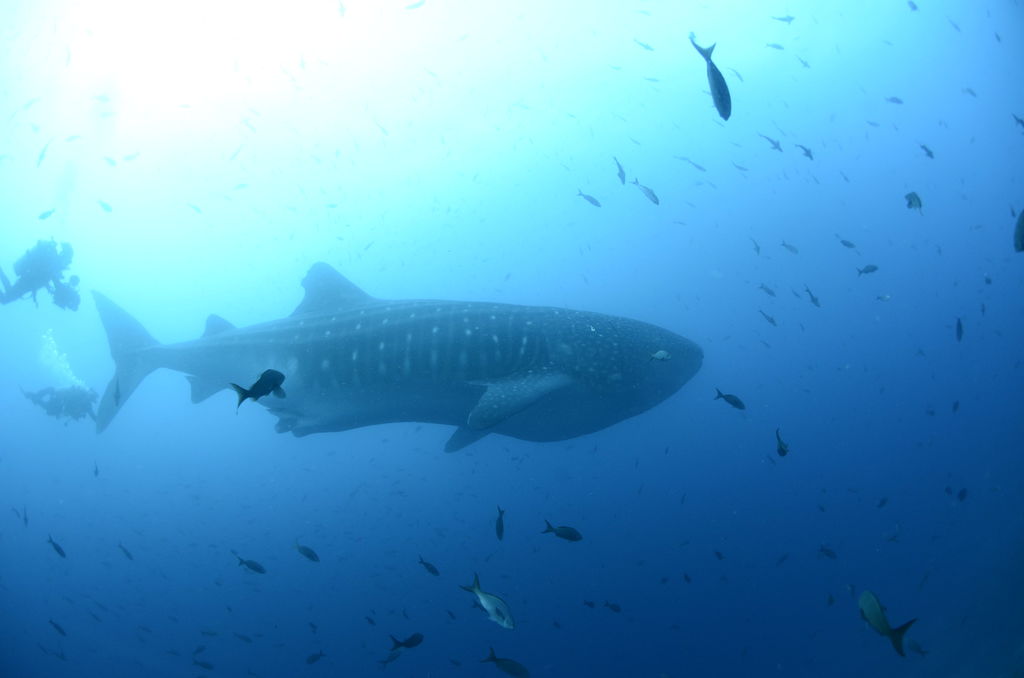 b5e23191-27dc-4b69-b95f-2c46f231d44b