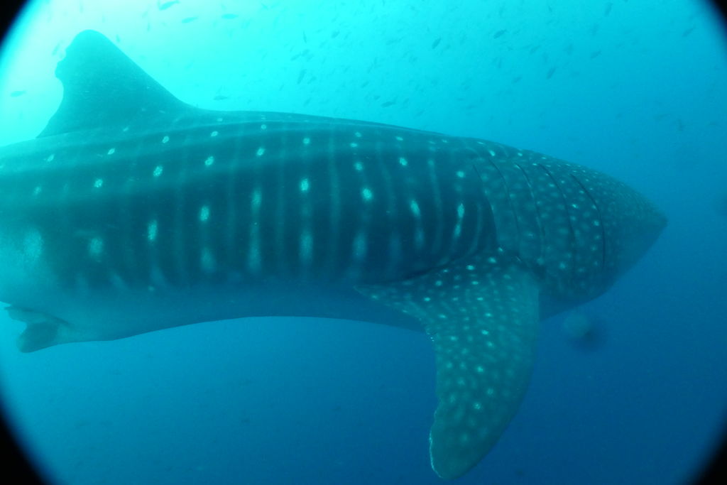 b5e23191-27dc-4b69-b95f-2c46f231d44b