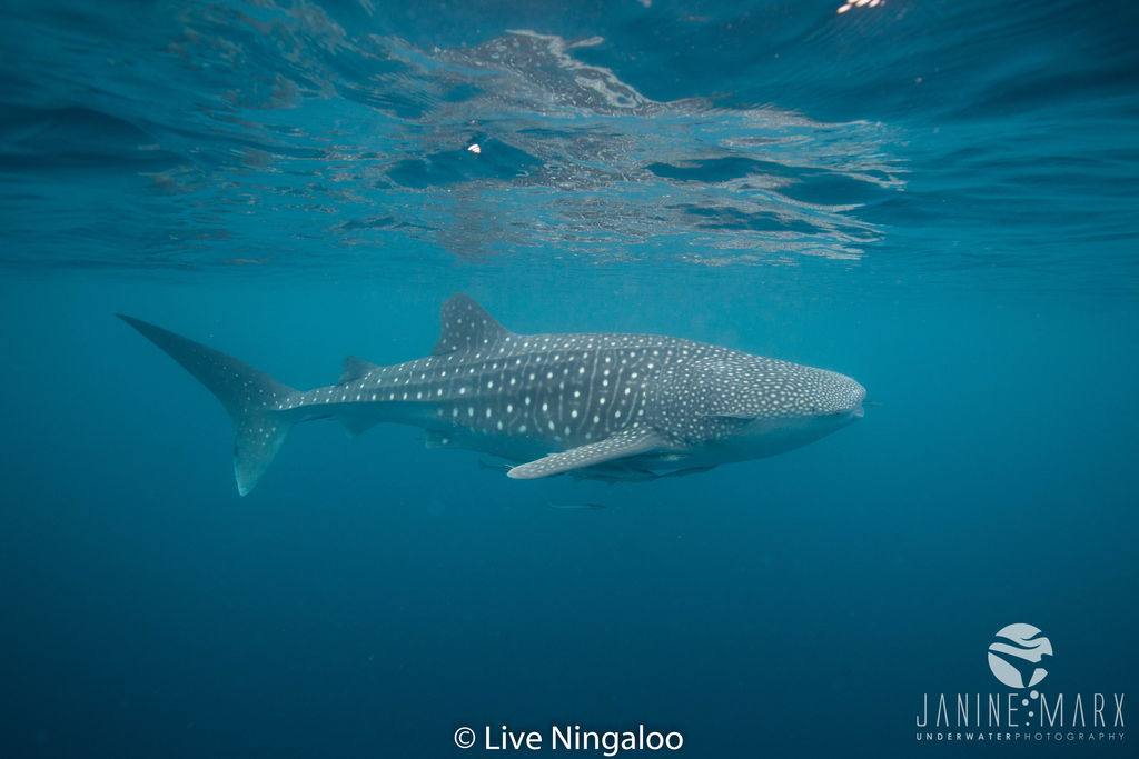 ed49bf59-5b05-4c2c-8223-cf902c3b3022