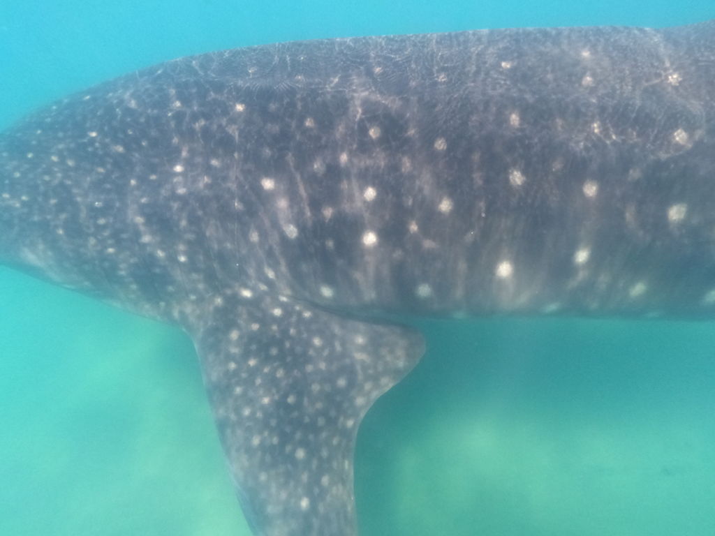 23efbdf9-ab4c-430e-a52a-44b4ba065ad9