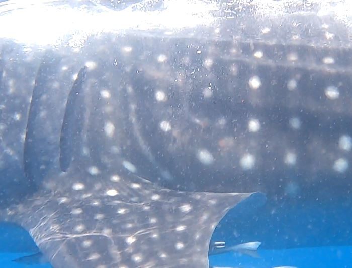 2dbf328a-56a6-4660-9ce0-15485c3363a3