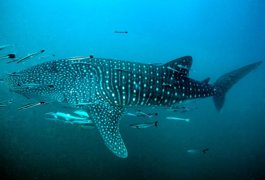 315eda5b-afe7-4b4e-ae44-1883469a3947