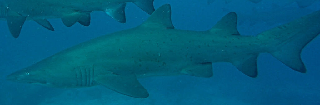 2649ce10-cb73-4676-9c8f-0fc37baf3162