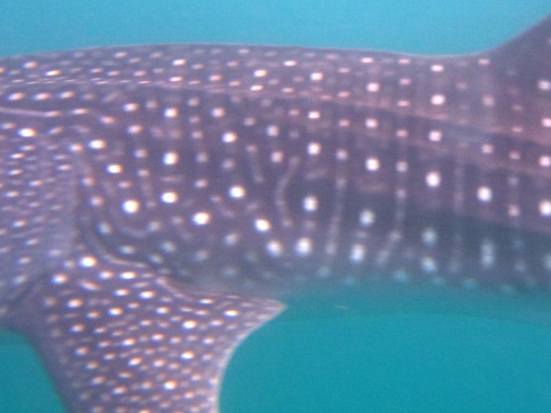 cc6e765c-437c-444e-8104-fb1a1592b471