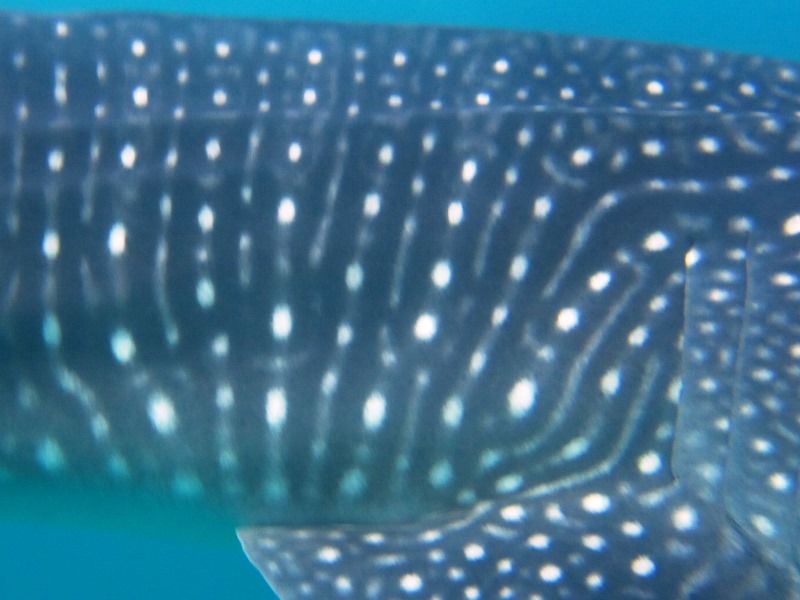 cc6e765c-437c-444e-8104-fb1a1592b471